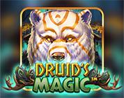 Druid's Magic